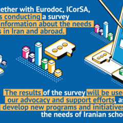 MCAA, Eurodoc, ICoRSA and YAE survey